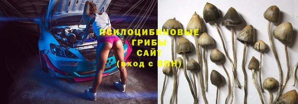 альфа пвп Надым